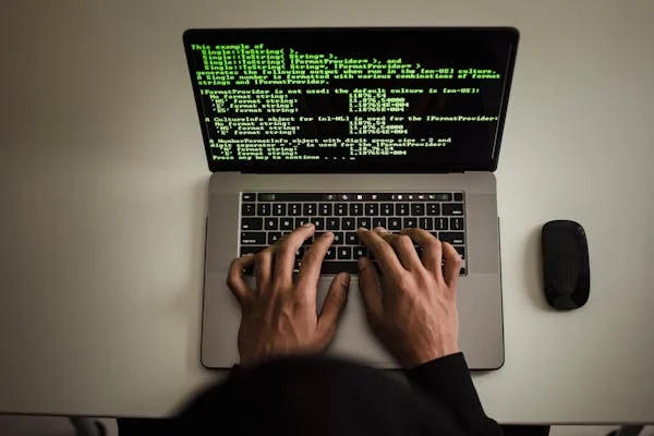 Domain Name System