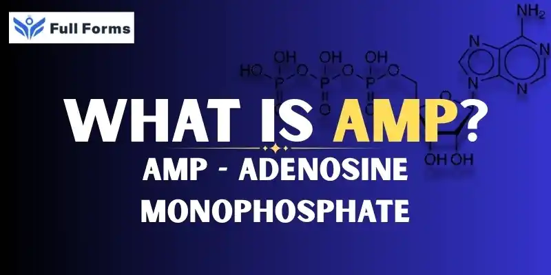 Ampere