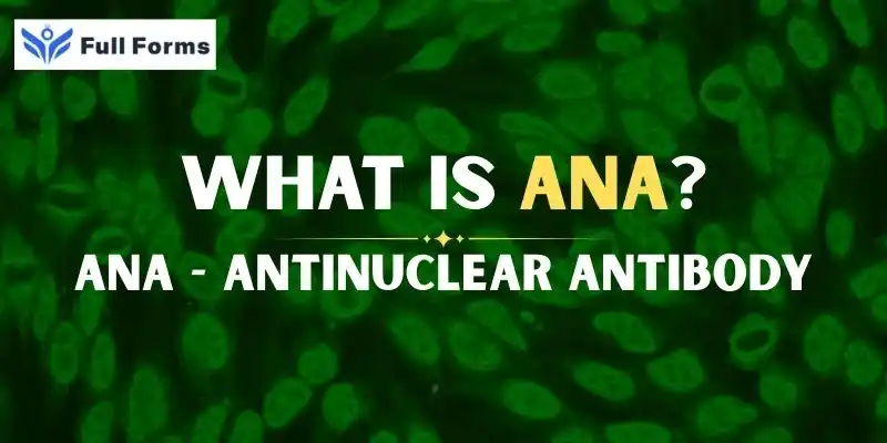 Antinuclear Antibody