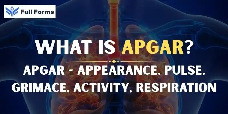 Appearance, Pulse, Grimace, Activity, Respiration