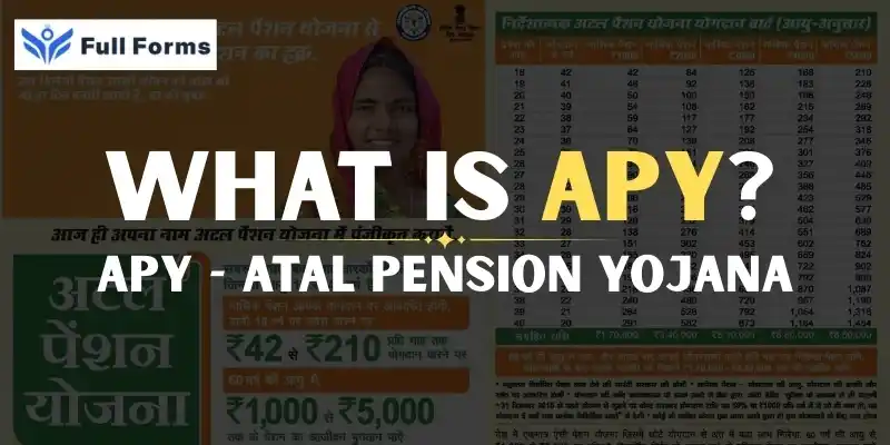 Annual Percentage Yield