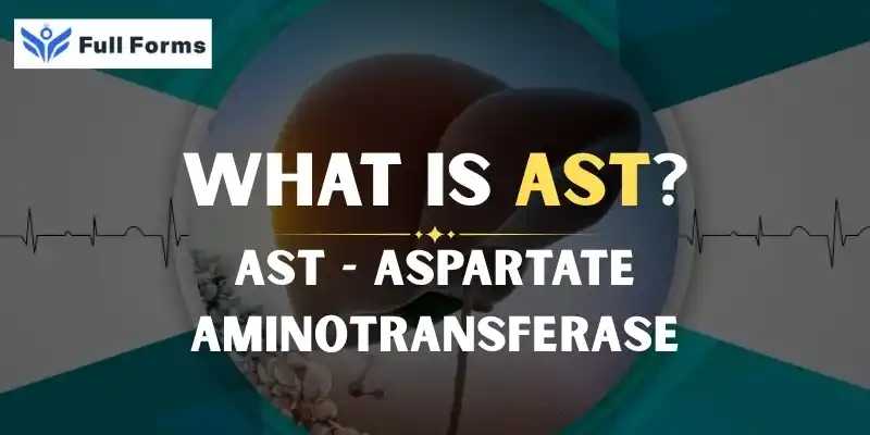 Aspartate Aminotransferase
