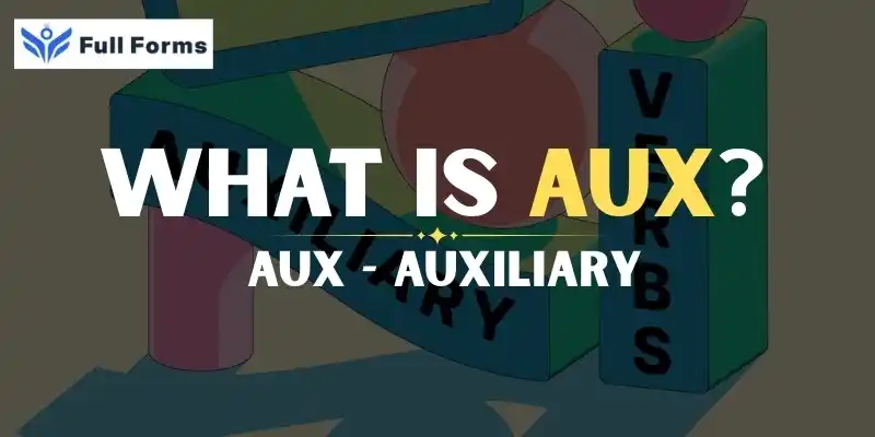 Auxiliary (input/output, audio port)