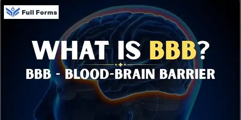 Blood-Brain Barrier