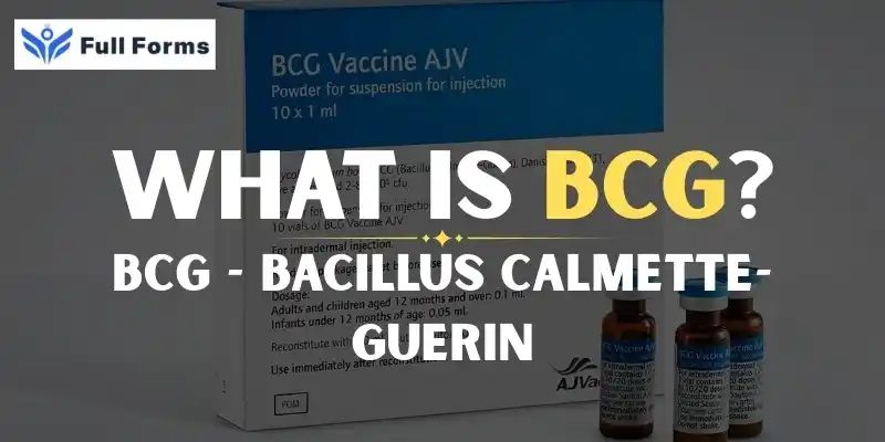 Bacillus Calmette-Guerin