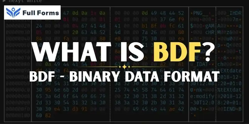 Binary Data Format