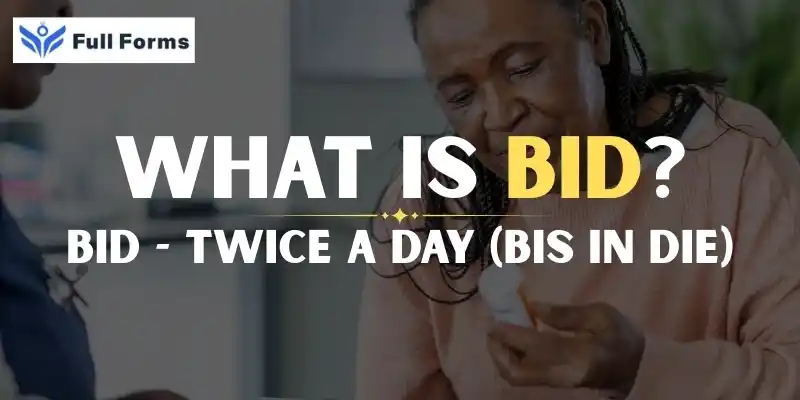 Twice a Day (bis in die)