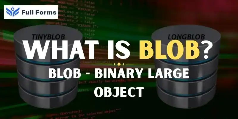 Binary Large Object