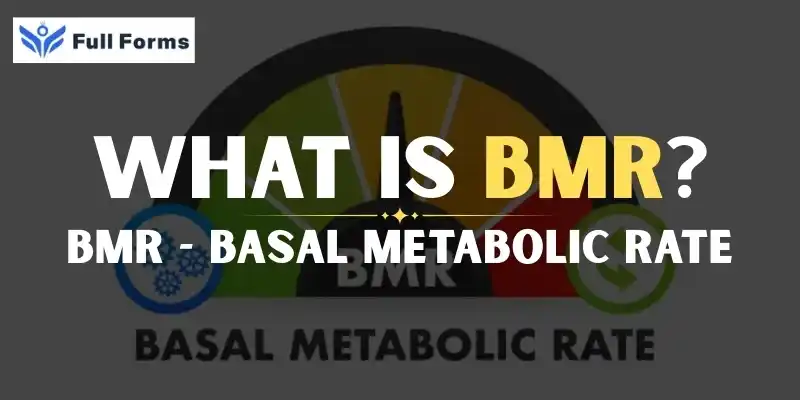 Basal Metabolic Rate