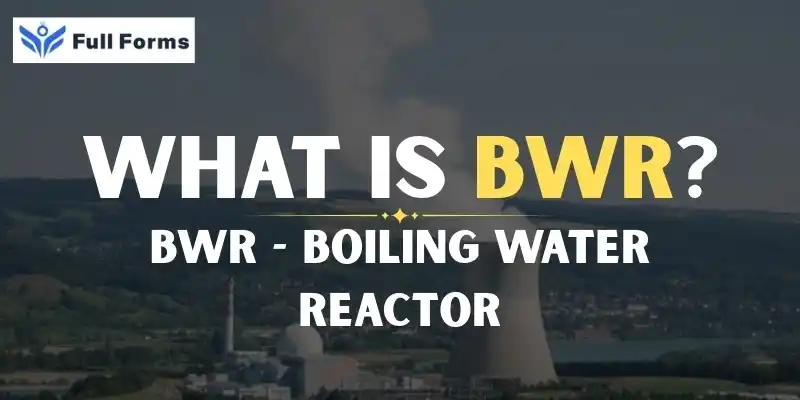 Boiling Water Reactor