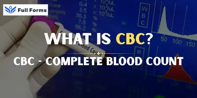 Complete Blood Count