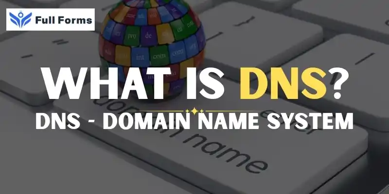 Domain Name System