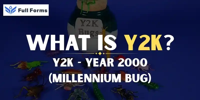 Year 2000 (Millennium Bug)